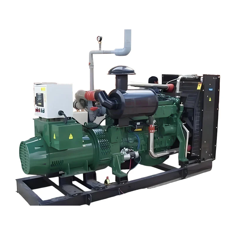 ژنراتور بیوگاز 800 کیلو وات